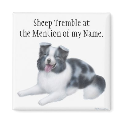 Border Collie Herding Dog Magnet by twopurringcats