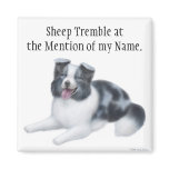 Border Collie Herding Dog Magnet
