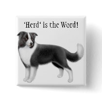 Border Collie Herding Dog Pin