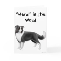 Border Collie Herding Greeting Card