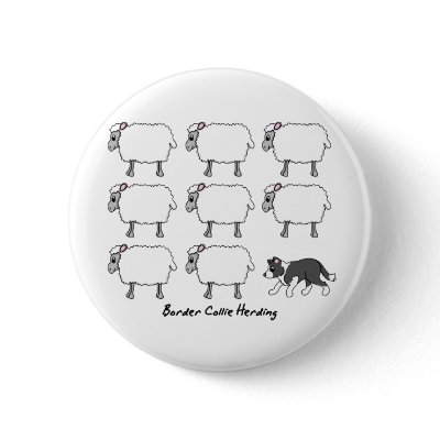 Border Collie Herding Sheep Button by MenagerieMayhem
