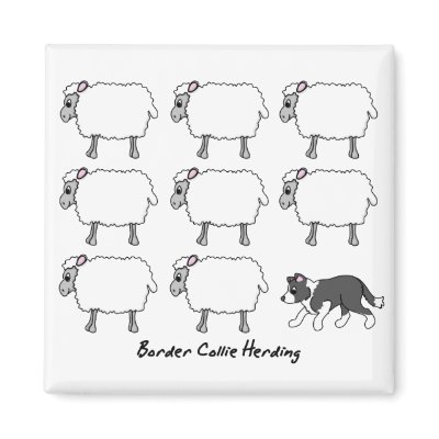 Border Collie Herding Sheep Magnet by MenagerieMayhem