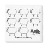 Border Collie Herding Sheep Magnet