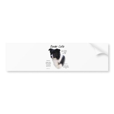 Border Collie History Design by GreyWolfCreation