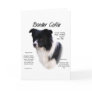 Border Collie History Design