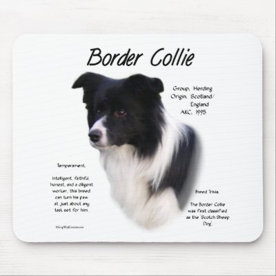 Border Collie History Design by GreyWolfCreation