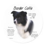 Border Collie History Design