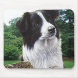 Border collie in park mousepad