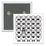 Border Collie in the Sheep Buttons