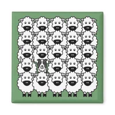 Border Collie in the Sheep Magnets by khocker