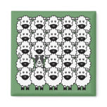 Border Collie in the Sheep Magnets