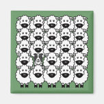 Border Collie in the Sheep Magnets