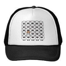 Border Collie in the Sheep Mesh Hats
