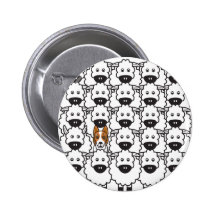Border Collie in the Sheep Pinback Buttons