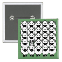 Border Collie in the Sheep Pins