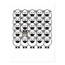 Border Collie in the Sheep Postcard