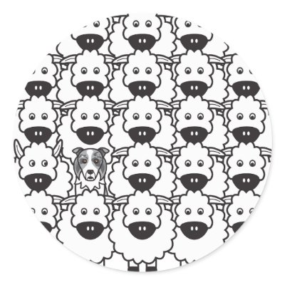 Border Collie in the Sheep by khocker