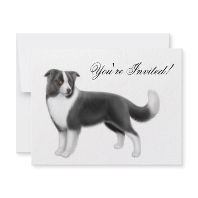 Border Collie Invitation by twopurringcats