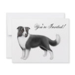 Border Collie Invitation