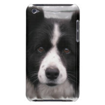 Border Collie iTouch Case Barely There iPod Case