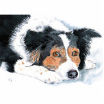 Border Collie Mattie Sculpture Photo Sculptures