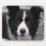 Border Collie Mouse Pad