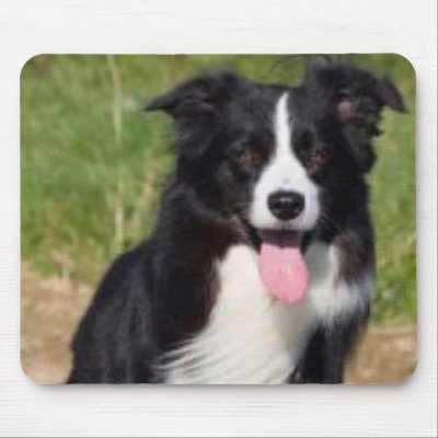 Border Collie Mousepad by ValentinaRose