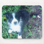 Border Collie Mousepad