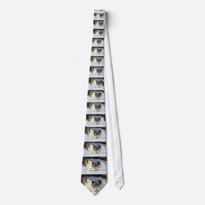 Border Collie Necktie by nwillens