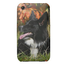 Border Collie Panting Laying Down iPhone 3 Case