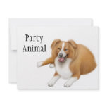 Border Collie Party Animal Invitation