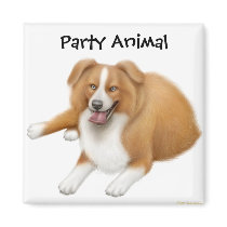 Border Collie Party Animal Magnet