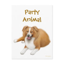 Border Collie Party Animal Postcard