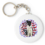 Border Collie Patriot