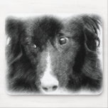 Border Collie Pencil Drawing Mousepad