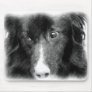 Border Collie Pencil Drawing Mousepad