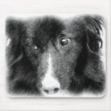 Border Collie Pencil Drawing Mousepad
