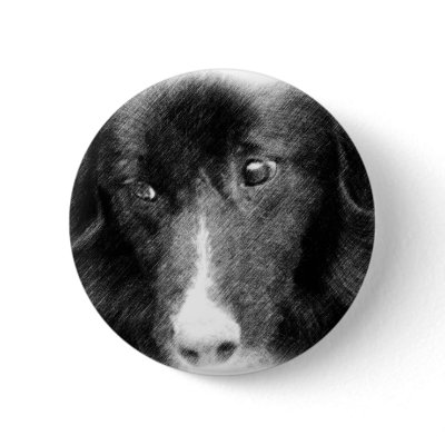 Border Collie Pencil Drawing Pin by SmilinEyesTreasures