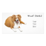 Border Collie Photo Card