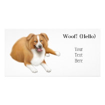 Border Collie Photo Card