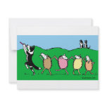 Border Collie Pied Piper Invite