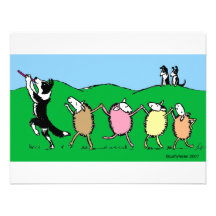 Border Collie Pied Piper Invite