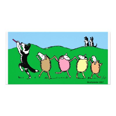 Border Collie Pied Piper Custom Photo Card by cathylester