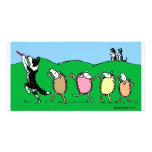 Border Collie Pied Piper photo cards