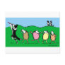 Border Collie Pied Piper Post Cards