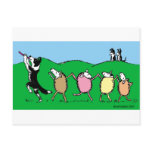 Border Collie Pied Piper postcards