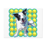 Border Collie Pop Art Balls Postcards