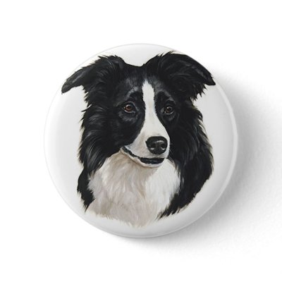 Border Collie Portrait Pins by friskybiz