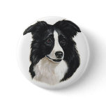 Border Collie Portrait buttons