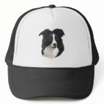 Border Collie Portrait hats